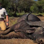 How Big Game Hunting Transforms Outdoor Experiences